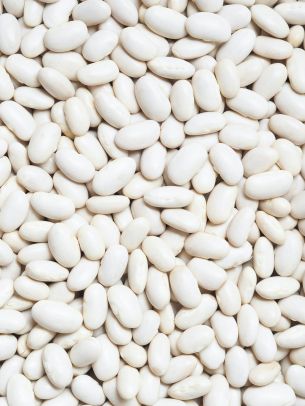 white beans, seeds, light Wallpaper 2048x2732