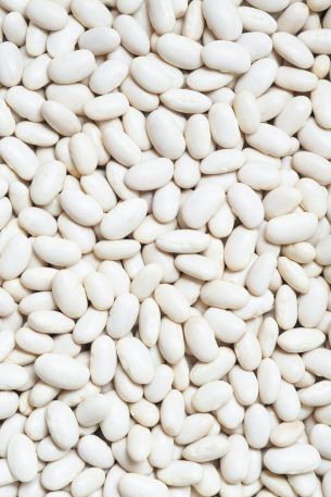 white beans, seeds, light Wallpaper 2860x4291