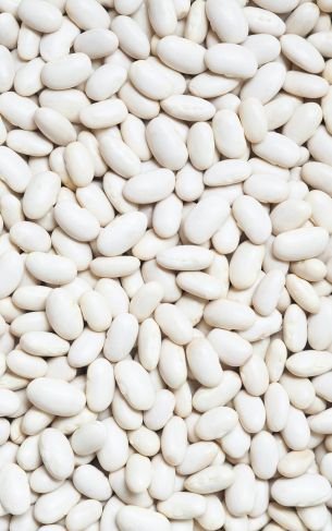 white beans, seeds, light Wallpaper 1752x2800