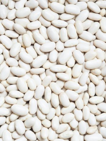 white beans, seeds, light Wallpaper 1536x2048