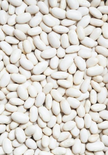 white beans, seeds, light Wallpaper 1668x2388