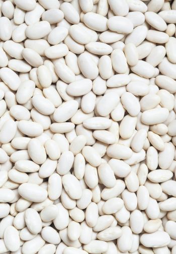 white beans, seeds, light Wallpaper 1640x2360