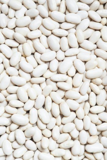 white beans, seeds, light Wallpaper 640x960