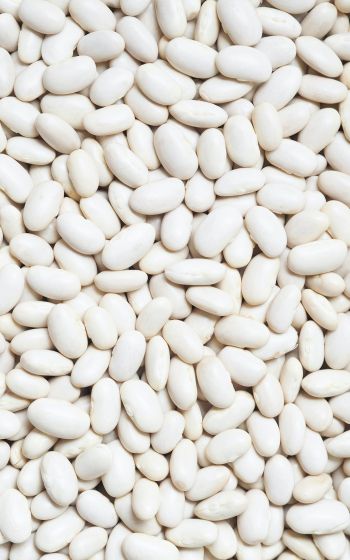 white beans, seeds, light Wallpaper 1600x2560