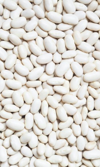 white beans, seeds, light Wallpaper 1200x2000