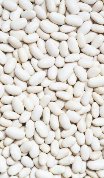 white beans, seeds, light Wallpaper 600x1024