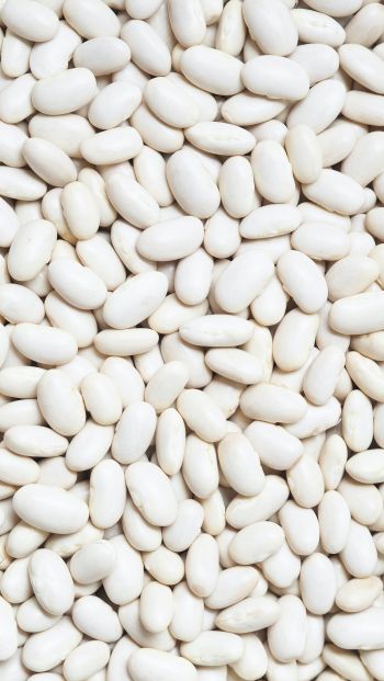 white beans, seeds, light Wallpaper 640x1136
