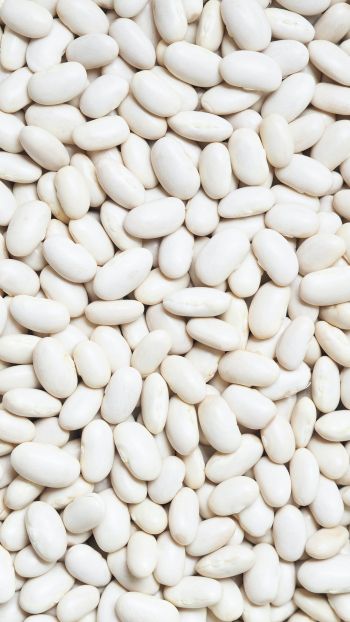 white beans, seeds, light Wallpaper 1440x2560