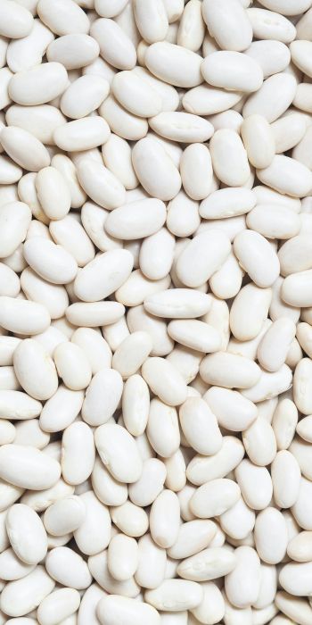 white beans, seeds, light Wallpaper 720x1440