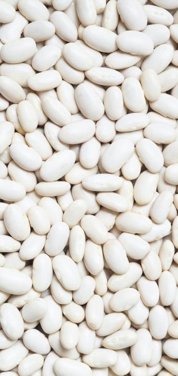 white beans, seeds, light Wallpaper 1440x3040