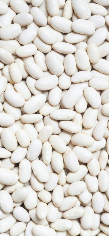 white beans, seeds, light Wallpaper 1125x2436