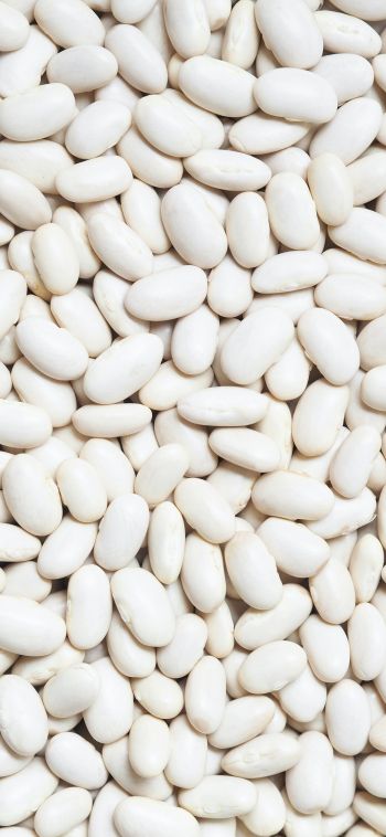 white beans, seeds, light Wallpaper 1080x2340