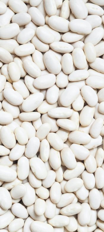 white beans, seeds, light Wallpaper 1440x3200