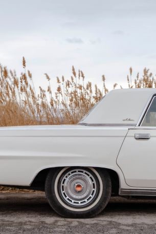retro car, Chrysler, trunk Wallpaper 640x960
