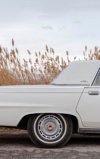 retro car, Chrysler, trunk Wallpaper 1752x2800