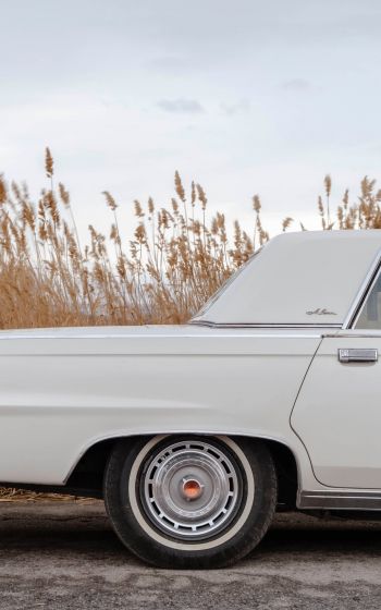 retro car, Chrysler, trunk Wallpaper 1200x1920