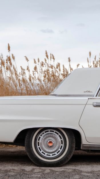 retro car, Chrysler, trunk Wallpaper 640x1136