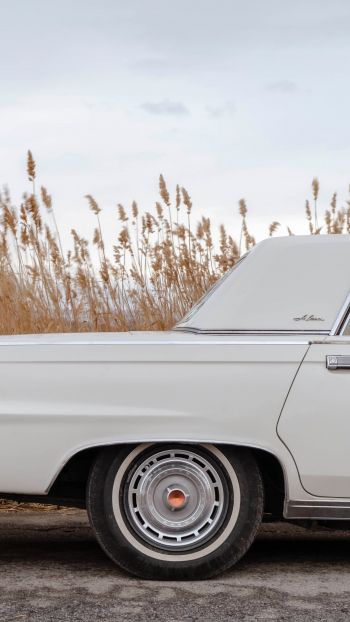 retro car, Chrysler, trunk Wallpaper 720x1280