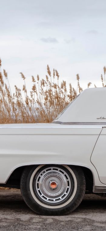 retro car, Chrysler, trunk Wallpaper 1080x2340