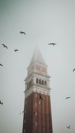 Обои 1440x2560 башня, туман, Венеция