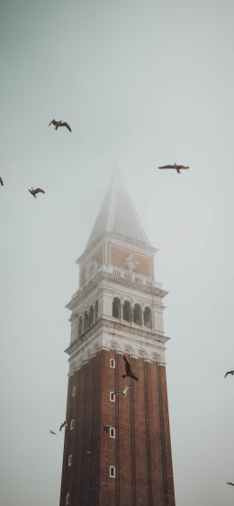 Обои 1170x2532 башня, туман, Венеция