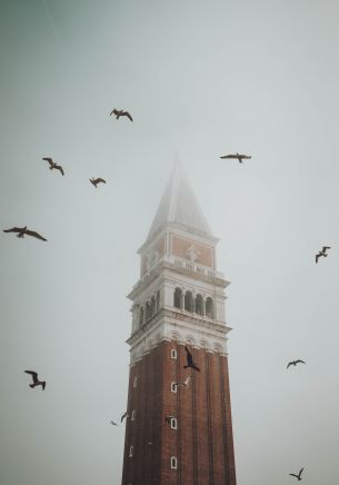 Обои 1668x2388 башня, туман, Венеция
