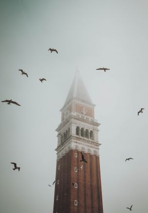 Обои 1640x2360 башня, туман, Венеция