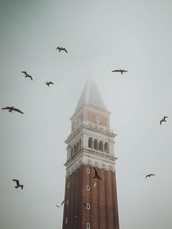 Обои 1668x2224 башня, туман, Венеция