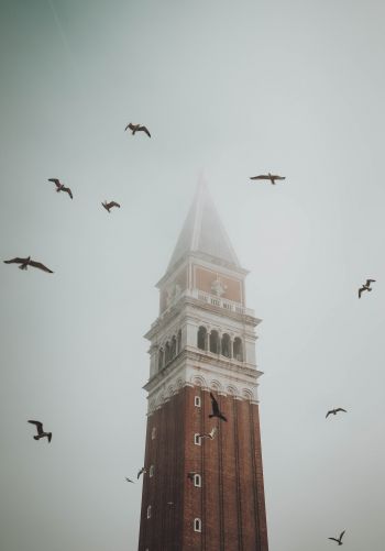 tower, fog, Venice Wallpaper 1668x2388