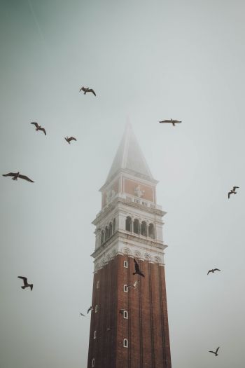 Обои 640x960 башня, туман, Венеция