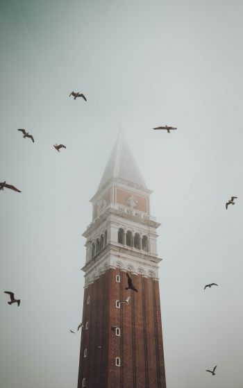 Обои 1752x2800 башня, туман, Венеция