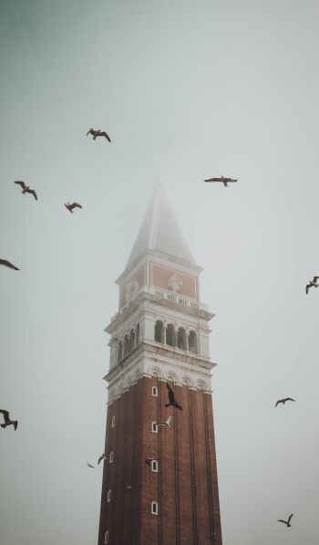 Обои 600x1024 башня, туман, Венеция