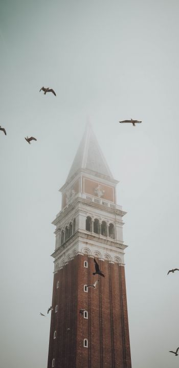 Обои 1080x2220 башня, туман, Венеция