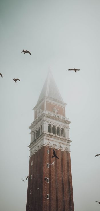 Обои 1080x2280 башня, туман, Венеция