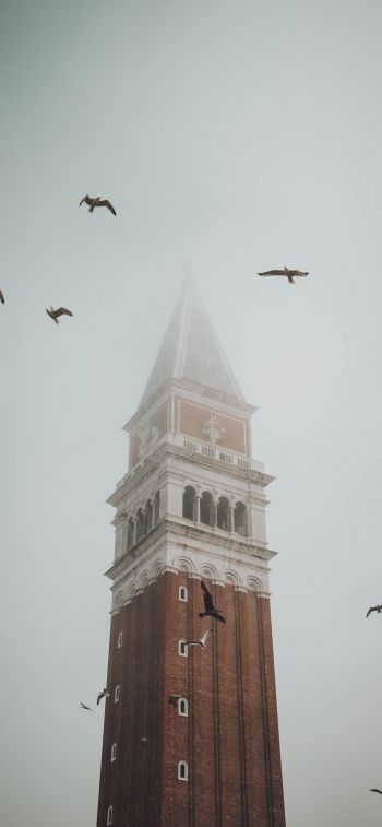 Обои 1125x2436 башня, туман, Венеция