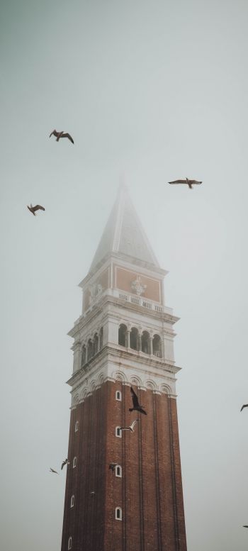 Обои 1080x2400 башня, туман, Венеция