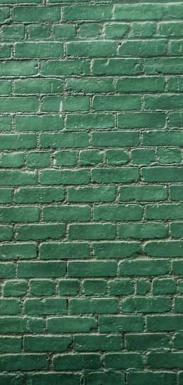 brick wall, wall, green wallpaper Wallpaper 1080x2280