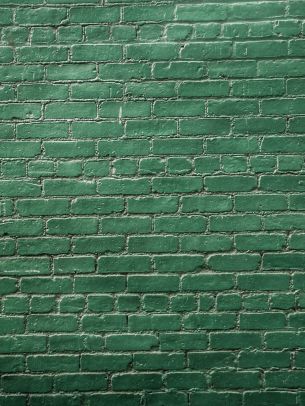 brick wall, wall, green wallpaper Wallpaper 1668x2224