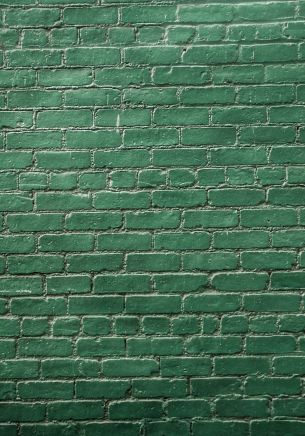 Обои 1668x2388 кирпичная стена, стена, зеленые обои