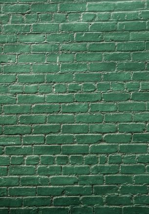Обои 1640x2360 кирпичная стена, стена, зеленые обои