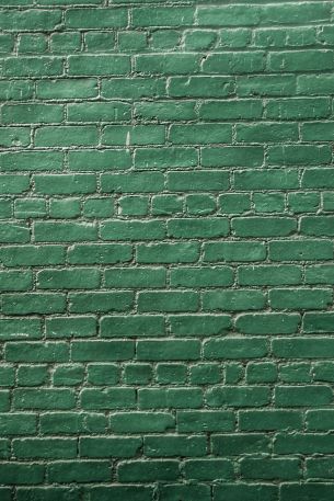 Обои 640x960 кирпичная стена, стена, зеленые обои