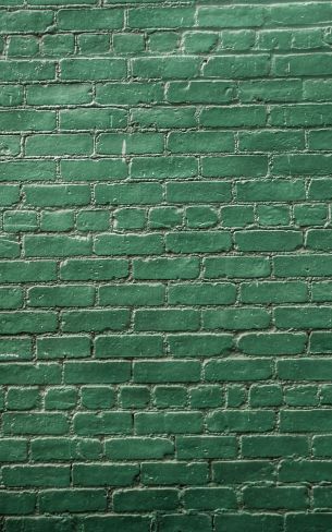 Обои 1200x1920 кирпичная стена, стена, зеленые обои