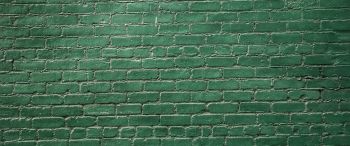 brick wall, wall, green wallpaper Wallpaper 3440x1440