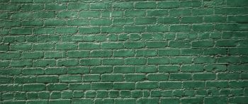 Обои 2560x1080 кирпичная стена, стена, зеленые обои