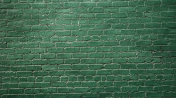 brick wall, wall, green wallpaper Wallpaper 1600x900
