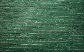 brick wall, wall, green wallpaper Wallpaper 2560x1600