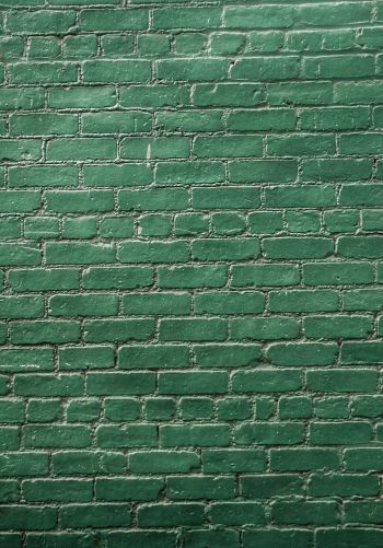 Обои 1668x2388 кирпичная стена, стена, зеленые обои