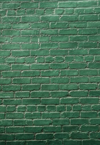 brick wall, wall, green wallpaper Wallpaper 1640x2360