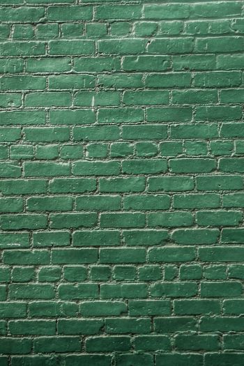 Обои 640x960 кирпичная стена, стена, зеленые обои