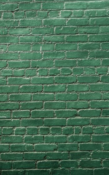 brick wall, wall, green wallpaper Wallpaper 1600x2560